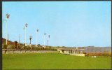 Driving Range Three Ponds Golf Elysburg PA postcard 60s